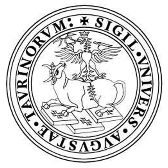 Università di Torino